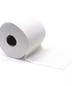 Toilet Paper 2 Ply Unwrapped (48)